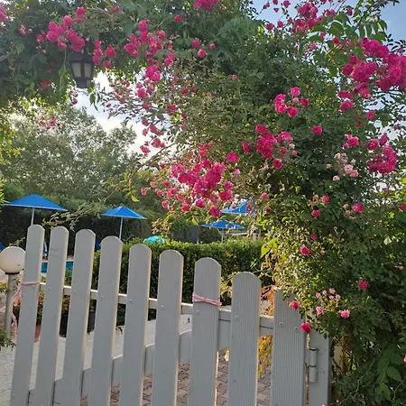 Vila Eleni Holidays Up To 18 Guests Karousádes